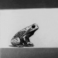 giuvisualart art animation loop black and white GIF