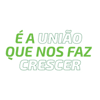 Sicredi Cooperar Sticker by SicrediUniãoRSES