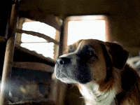 Jamming Big Boi GIF by Outkast