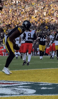 Celebration Nfl GIF by Pittsburgh Steelers