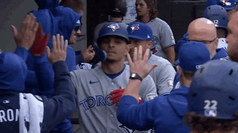 Blue Jays Baseball GIF by Toronto Blue Jays