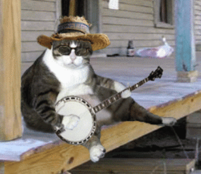 banjo GIF