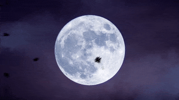 AtmosFX halloween fall scary moon GIF