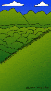 Bug Dung GIF by Juan Billy