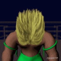 Ultimate Warrior Fox GIF by Animation Domination High-Def