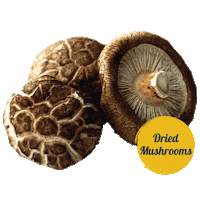 Mushroom Sticker by tadafreshmarket