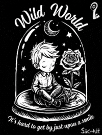 sachitstore thelittleprince sachit catstevens wildworld GIF
