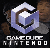 Houston Texas Swishahouse GIF