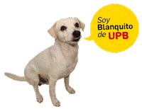 Cordoba Blanquito Sticker by Universidad Pontificia Bolivariana