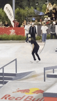 GIF by SKATESAUCE