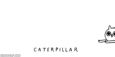 cat pun GIF by Cheezburger