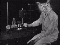 Talking Black And White GIF