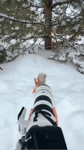 kingkaps7 giphyupload kingkaps7 animals are amazing 2 GIF
