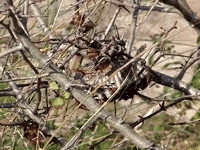 Education Biology GIF by DIIMSA Stock