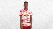 Come On Wtf GIF by RB Leipzig