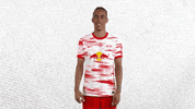 Champions League Football GIF by RB Leipzig