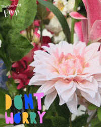 Flower GIF