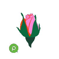 Family Love Sticker by Publix