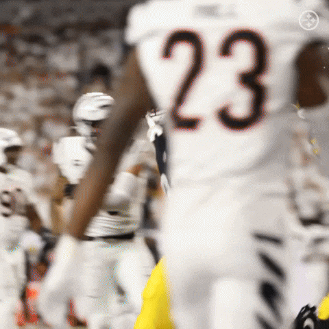 Excited Football GIF by Pittsburgh Steelers