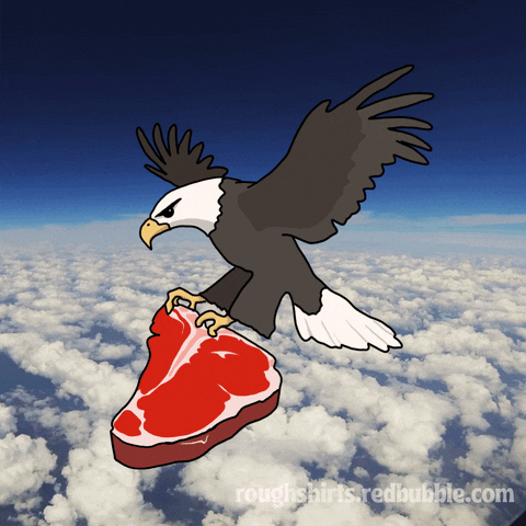 junkfeathers giphyupload usa america flying GIF