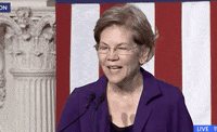 Elizabeth Warren GIF by Election 2020