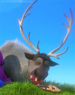 sven GIF