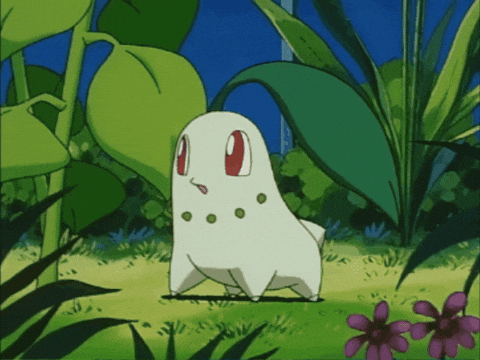 Leaf Twins GIF by Pokémon