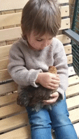 Adorable Toddler Sings Lullaby While Stroking Pet Hen
