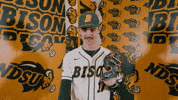 Sam Roberts Baseball GIF by NDSU Athletics
