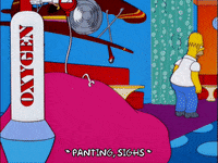homer simpson episode 3 GIF