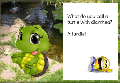 Turtle GIF