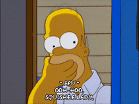 homer simpson GIF