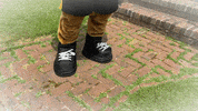 Roary GIF by @CCPedu