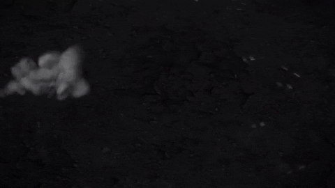 reprise_rocknroad giphyupload rock road reprise GIF