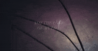 vervelabelgroup yuna yunarouge rougetour yunarougetour GIF