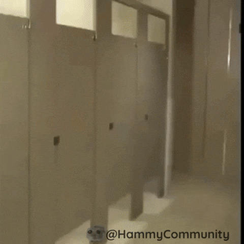 Toilet Paper Surprise GIF by Sad Hamster