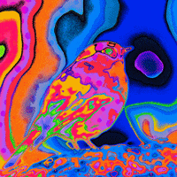 Loop Rainbow GIF by Toke