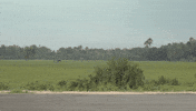 jesus running GIF