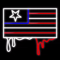 independence day trump GIF by Tyler Resty