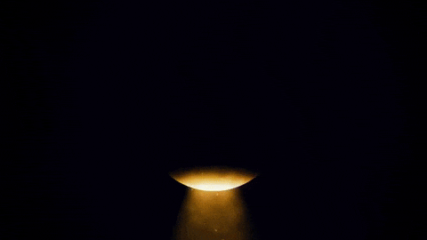 Seal Curie GIF by Einhorn's Epic Productions