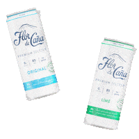 Cheers Lime Sticker by flordecana