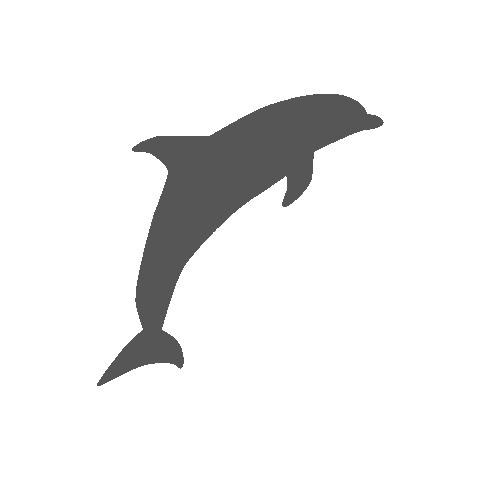 Usa Florida Sticker by CANUSA