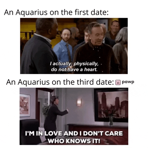 mypawp giphyupload GIF