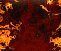 Hot Stuff Love GIF by Mike's Hot Honey