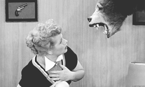 i love lucy GIF