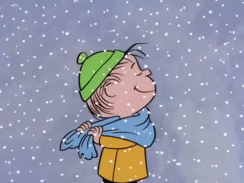 charlie brown snowing GIF by Peanuts