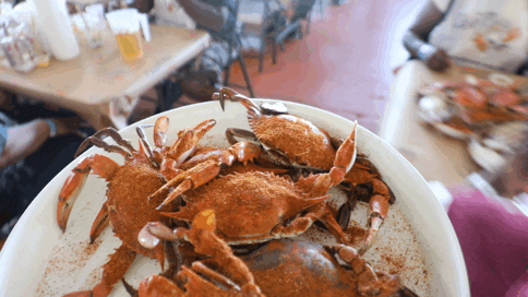 Party Food GIF by The Crab Place