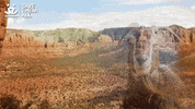 Adopt Best Friends GIF by Best Friends Animal Society