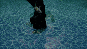 Plankton Spongebob Musical GIF by Selladoor