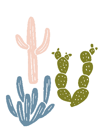 Boho Cactus Sticker